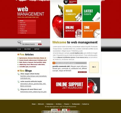 网页设计中的模板图片 提升效率与美感的完美结合