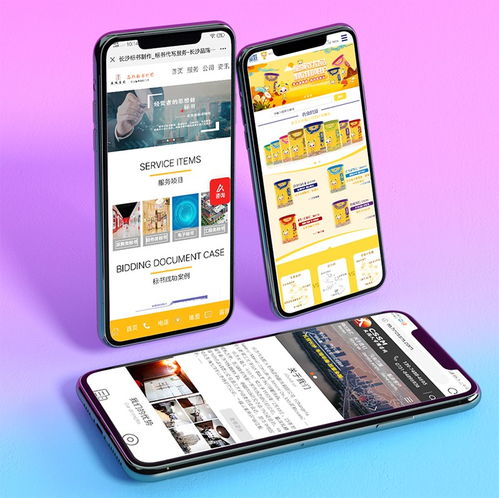 简界网络 一站式长沙网站建设推广与运维营销解决方案